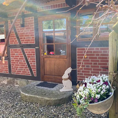Dannauer Reetkate - Wiesenblick Apartamento *